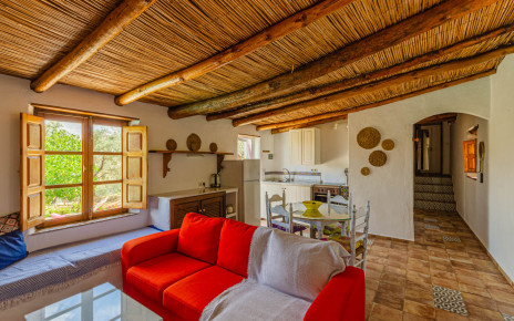 Espacio diáfano con cocina / salón / comedor